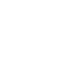 三大政策